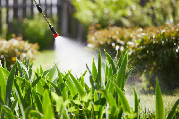 Tamper-Resistant Bait Stations for Rodents in East Oakdale