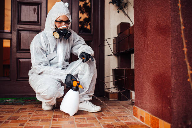 Attic and Crawl Space Rodent Treatment in East Oakdale